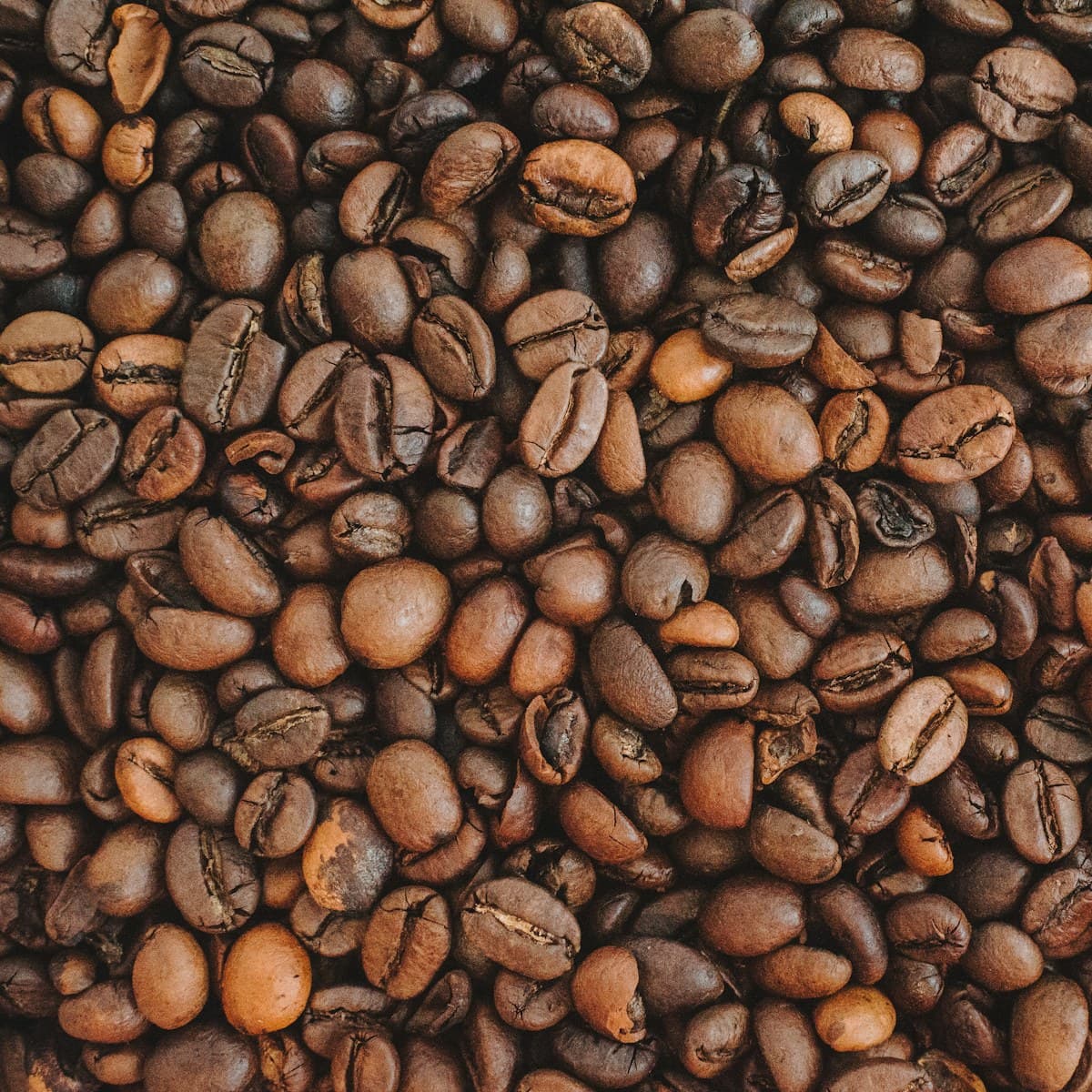 Nachtschicht — Sumatra, Aceh Gayo